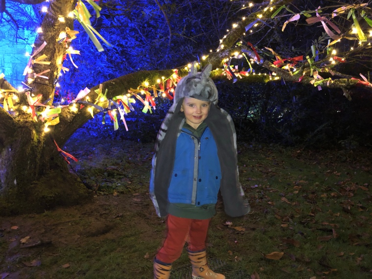 Sudeley Castle Spectacle of Light review + photos
