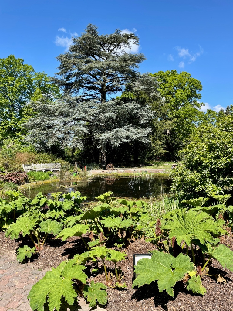 Bristol Botanical Gardens review